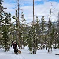 Snowshoeing